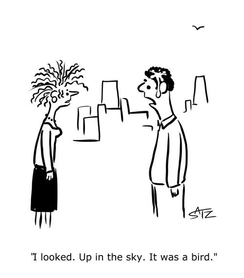 "I looked. Up in the the sky. It was a bird."
