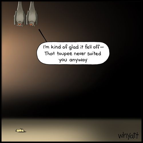 "I'm kind of glad it fell off -- that toupee never suited you anyway."