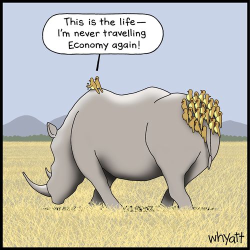 "This is the life -- I'm never travelling Economy again!"