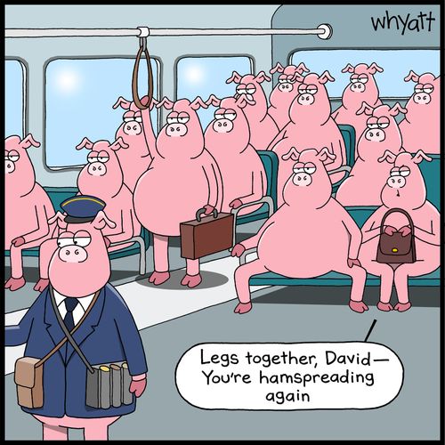 "Legs together, David -- You're hamspreading again."