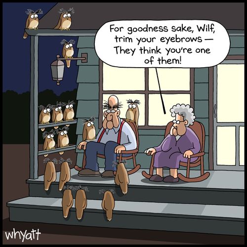 "For goodness sake, Wilf, trim your eyebrows -- they think you're one of them!"