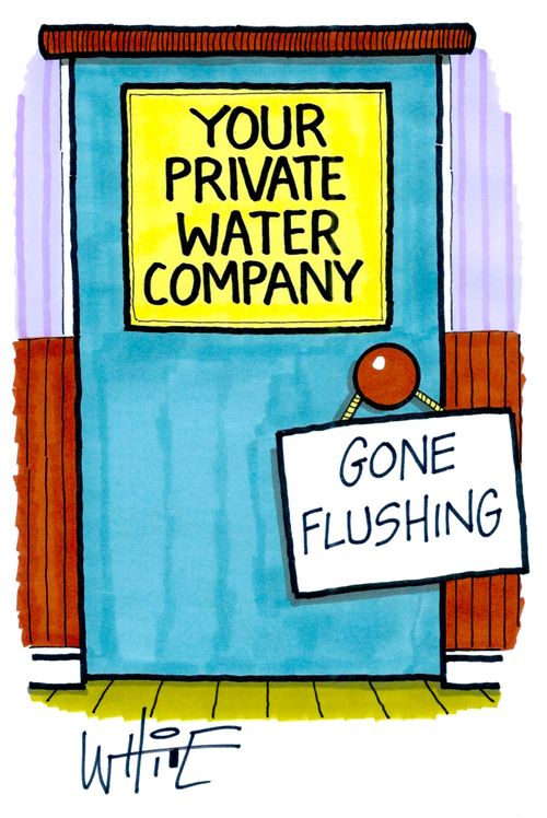 Your Private Water Company: Gone Flushing
