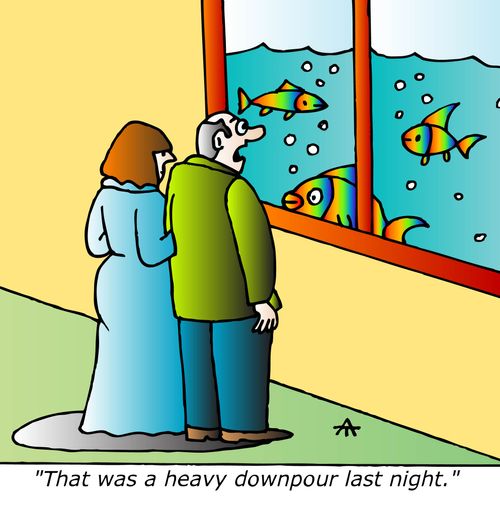 "That was a heavy downpour last night."