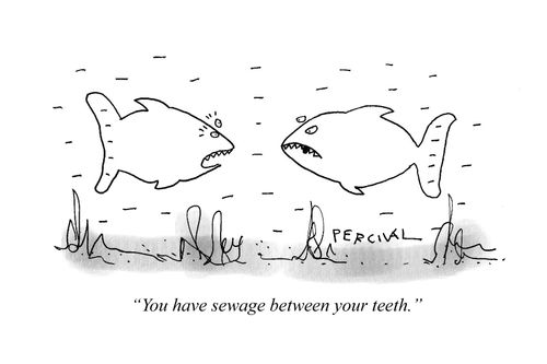 "You have sewage between your teeth."