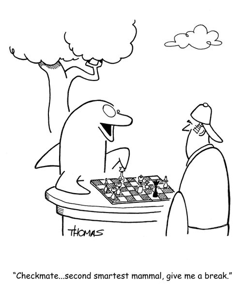 "Checkmate... second smartest mammal, give me a break."