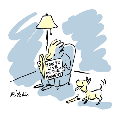 Old man reading book called 'How To Live in The Moment' whilst ignoring his dog.