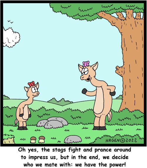 "Oh yes, the stags fight and prance around to impress us, but in the end, we decide who we mate with: we have the power!"
