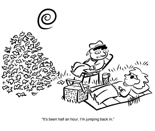 "It's been half an hour. I'm jumping back in."