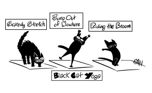 Black Cat Yoga