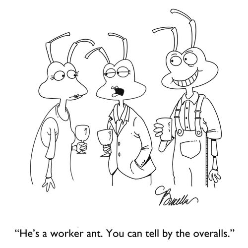 "He's a worker ant. You can tell by the overalls."