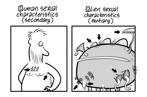 Human sexual characteristic (secondary)