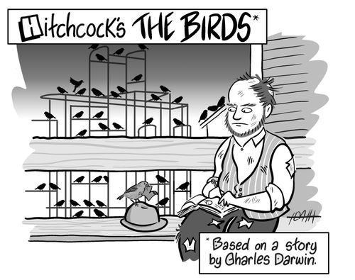 Hitchcock's The Birds