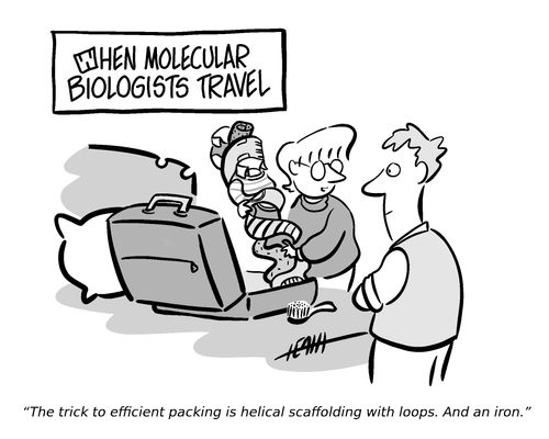 When molecular biologists travel