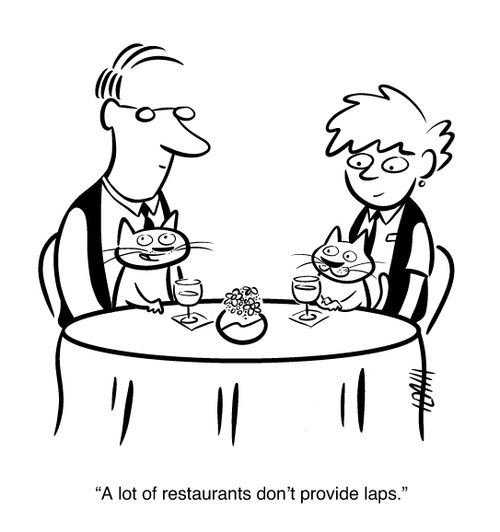 "A lot of restaurants don't provide laps."