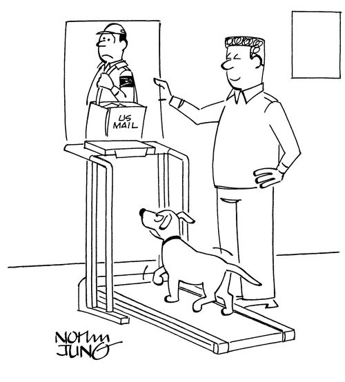 Dog walking on treadmill towards image of mailman.