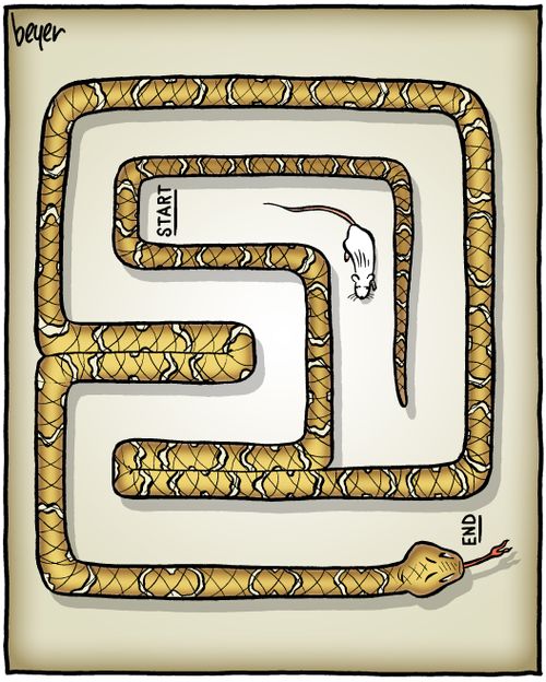 Snake Maze