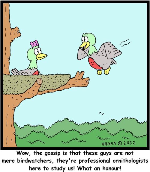 "Wow, the gossip is that these guys are not mere birdwatchers, they're professional ornithologists here to study us! What an honour!"