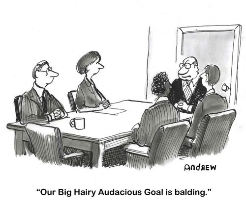 "Our Big Hairy Audacious Goal is balding."