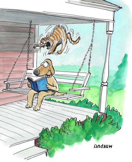 Cat attacks dog reading on a bench.
