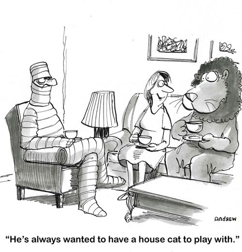"He always wanted to have a house cat to play with."