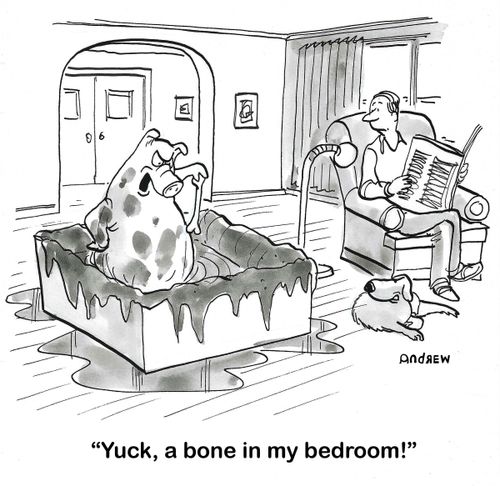 "Yuck, a bone in my bedroom!"