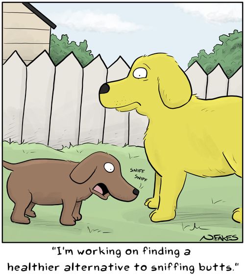 "I'm working on finding a healthier alternative to sniffing butts."