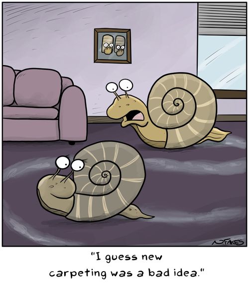 "I guess new carpeting was a bad idea."
