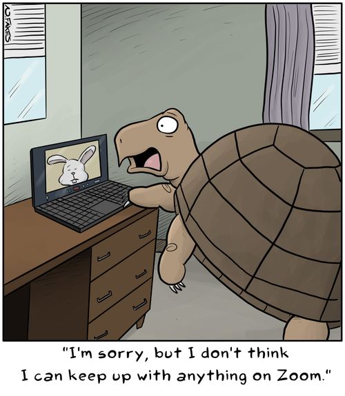 "I'm sorry, but I don't think I can keep up with anything on Zoom."