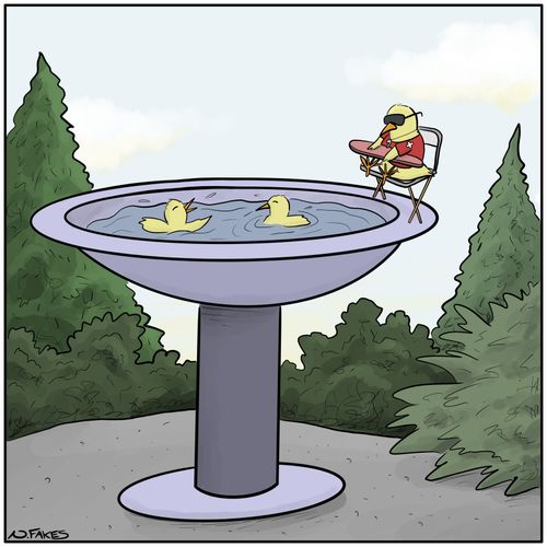 Bird Pool