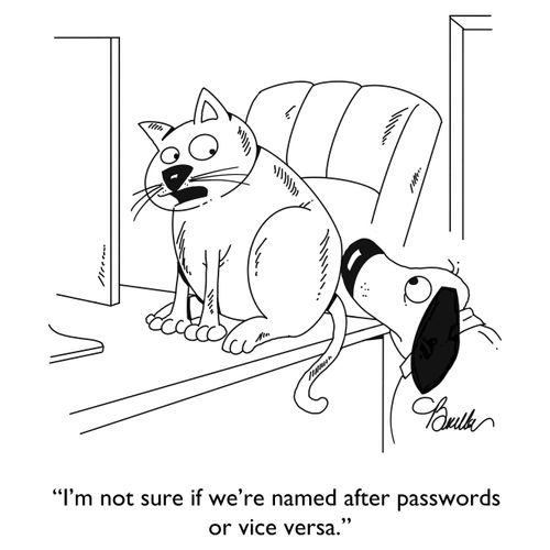  "I'm not sure if we're named after passwords or vice versa."