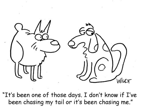 "It's been one of those days. I don't know if I’ve been chasing my tail or it's been chasing me."