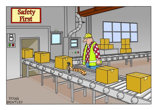 Safety First