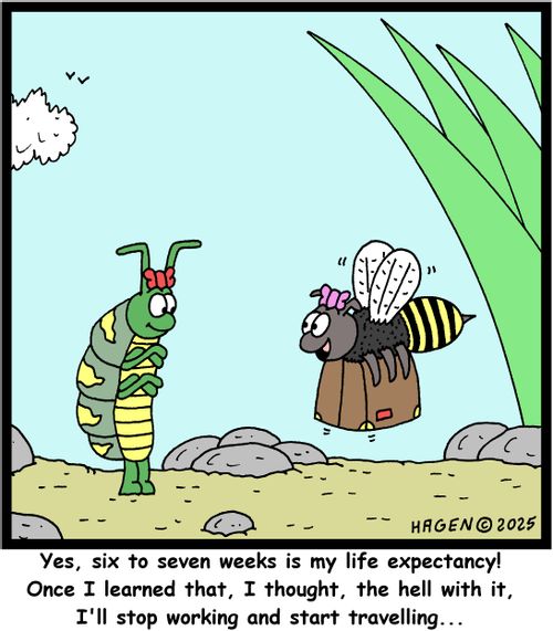 "Yes, six to seven weeks is my life expectancy! Once I learned that, I thought, the hell with it, I'll stop working and start travelling..."