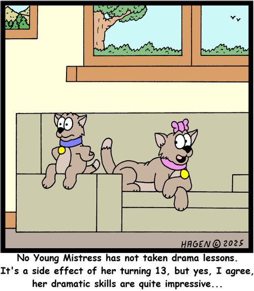 "No young Mistress has not taken drama lessons. It's a side effect of her turning 13, but yes, I agree, her dramatic skills are quite impressive..."