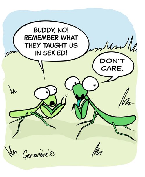 "Buddy, no! Remember what they taught us in sex ed!"   "Don't care."