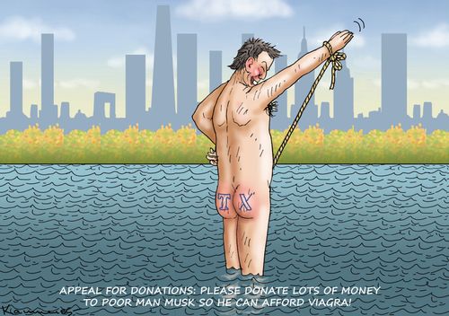 "Appeal for donations: Please donate lots of money to poor man Musk so he can afford Viagra!"