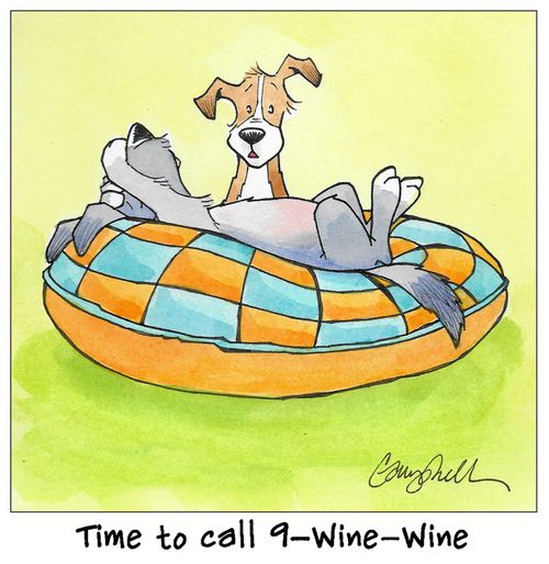 "Time to call 9-Wine-Wine"