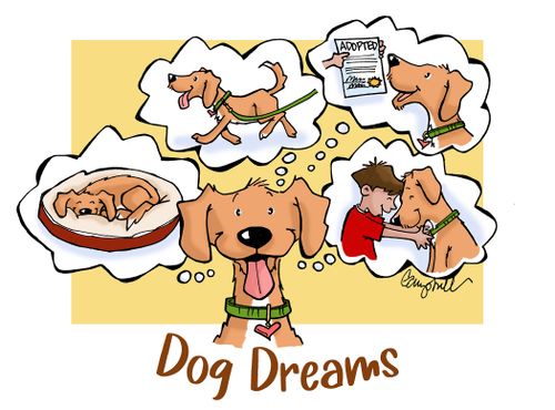 Dog Dreams
