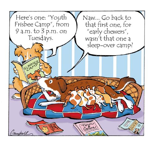 "Here's one: 'Youth Frisbee Camp', from 9 a.m. to 3 p.m. on Tuesdays."  "Naw... Go back to that first one, for 'early chewers', wasn't that one a sleep-over camp?"