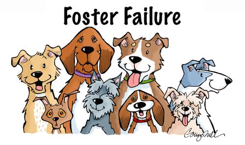 Foster failure