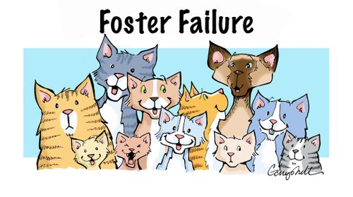 "Foster failure"