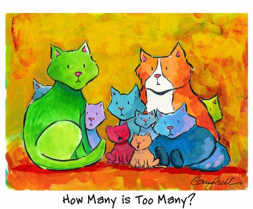 "How many is too many?"
