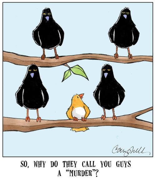 "So, why do they call you guys a 'murder'?"