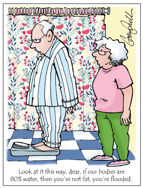 "Look at it this way, dear, if our bodies are 80% water, then you’re not fat, you’re flooded."