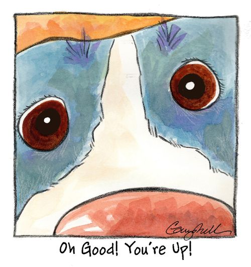 "Oh good! You're up!"