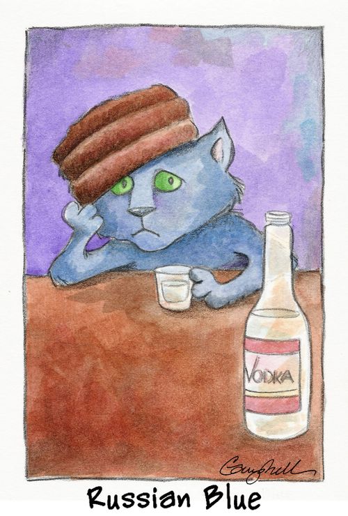 "Russian blue"