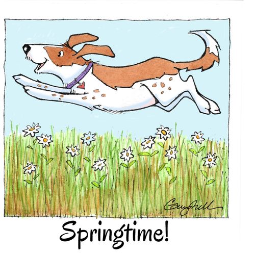 Springtime