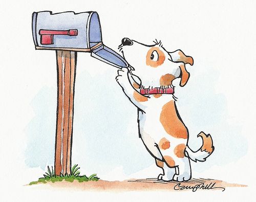 You've Got Mail