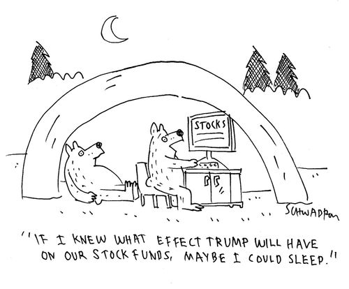 "If I knew what effect Trump will have on our stock funds, maybe I could sleep."