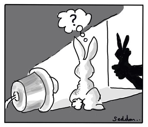 Hand Rabbit